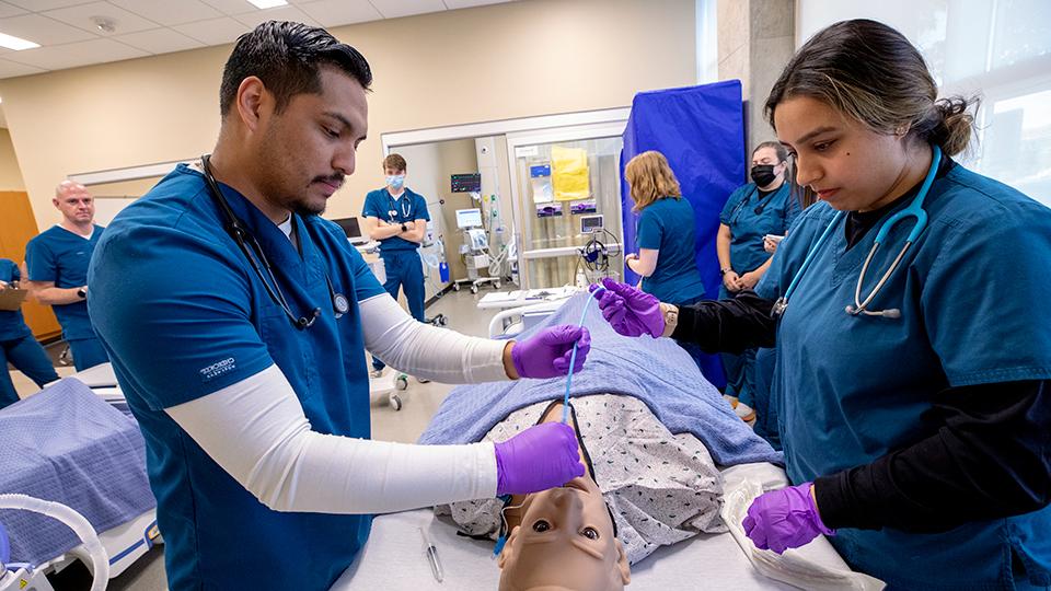 a classroom of 赌钱app可以微信提现 respiratory students practice skills on a simulation dummy