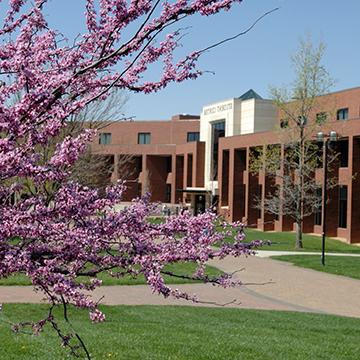 A redbud tree in bloom on the 赌钱app可以微信提现 campus.