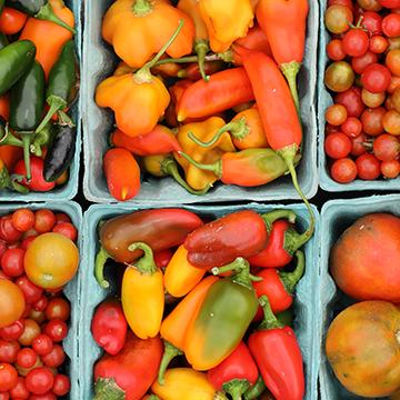 produce picked from the open petal farm