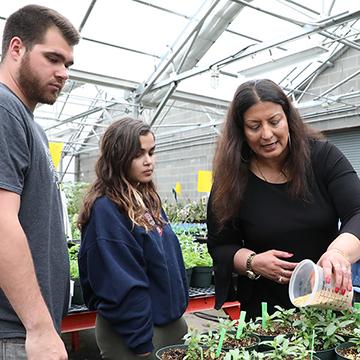 Horticulture students working alongside faculty in the campus greenhouse.