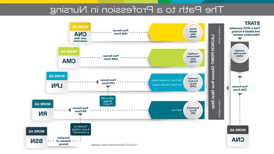 Flow chart showing nursing education pathway