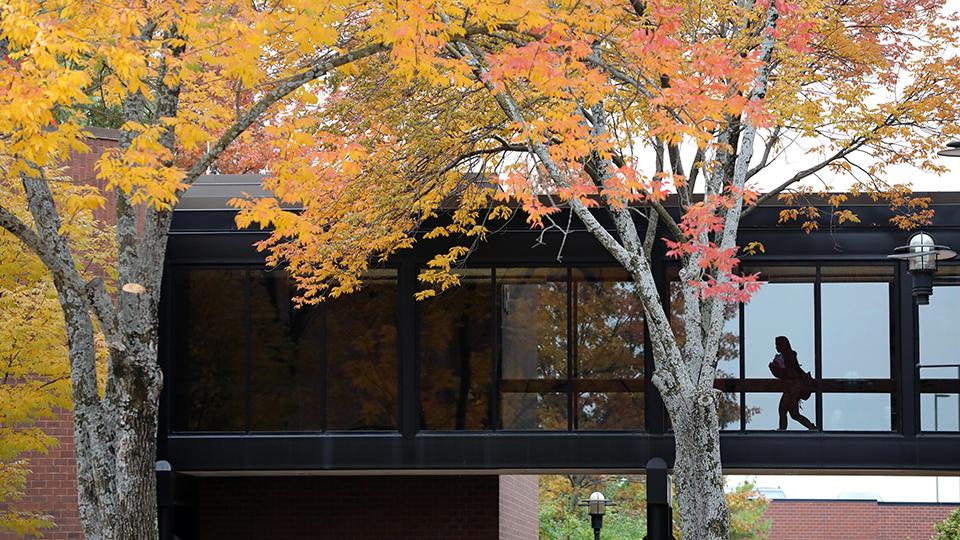 Elevated walkway between CLB and SCI buildings with fall foliage in the foreground